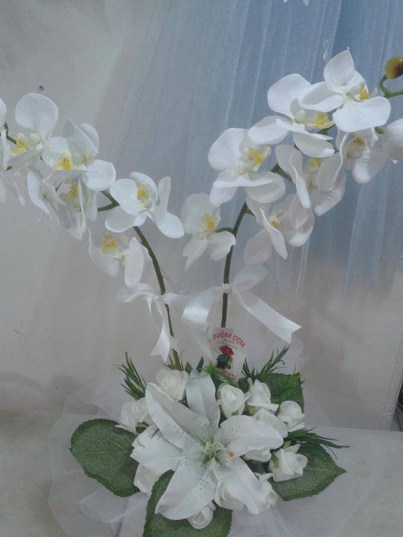 orkide-arajmani