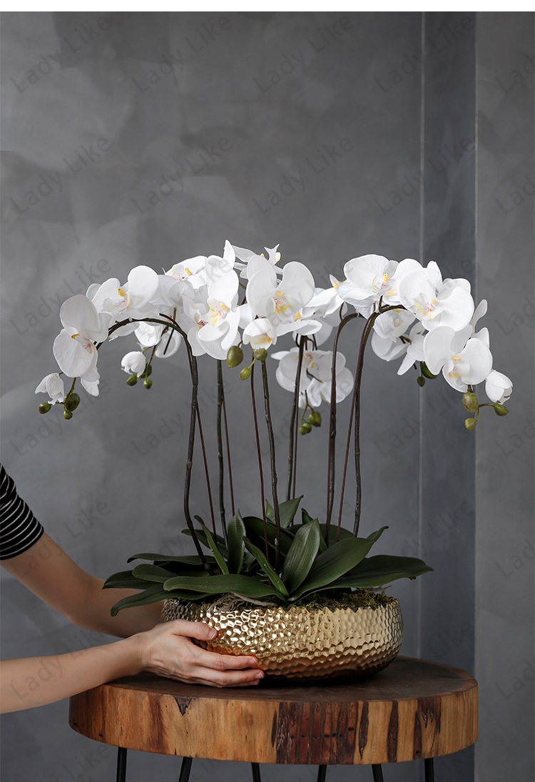 beylikduzu-orkide-siparisi