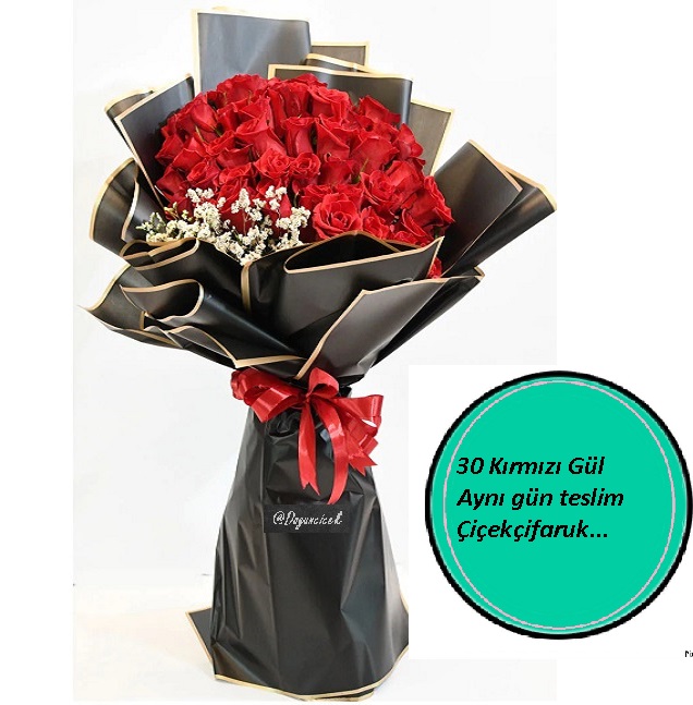 30-kirmizi-gul-beylikduzu