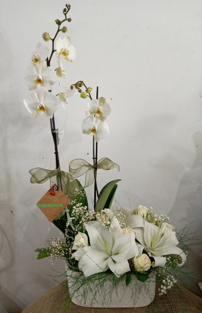 orkideli-arajman